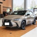 2024 Lexus NX for sale 643381 | Eauto Export