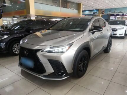 2024 Lexus NX for sale 925057 | Eauto Export