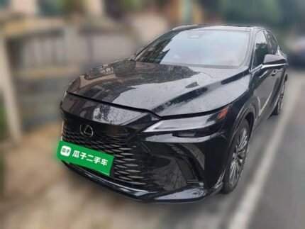 2024 Lexus RX EV - Biggest Chinese Electric Car Companies