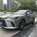2024 Lexus RX EV - Buy Used Electric Car in China