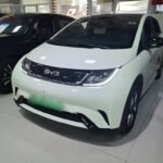 2024 OLX BYD Dolphin - Leading Chinese EV Car Companies