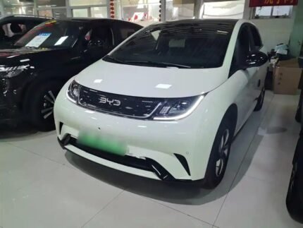 2024 OLX BYD Dolphin - Leading Chinese EV Car Companies