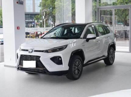 2024 Toyota Wildlander for sale 641770 | Eauto Export