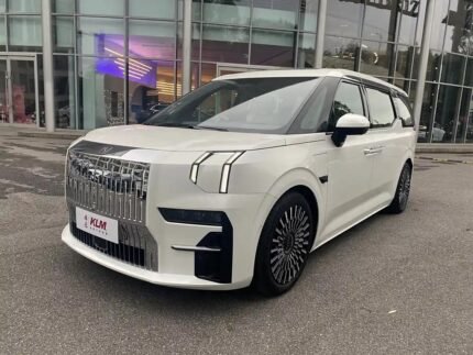 2024 ZEEKR 009 for sale 839021 | Eauto Export