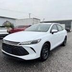 2025 Autonomia BYD Qin Plus Top 10 Chinese Electric Cars - Range Used