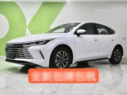 2025 BYD Destroyer 05 for sale 913756 | Eauto Export