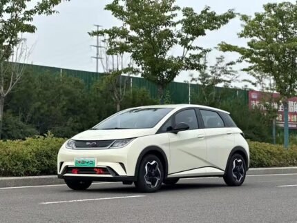 2025 BYD Dolphin - Top 10 Chinese EV Companies List
