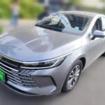 2025 BYD Number of Employees Chinese Electric Car Used - Scale Used