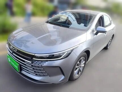 2025 BYD Number of Employees Chinese Electric Car Used - Scale Used