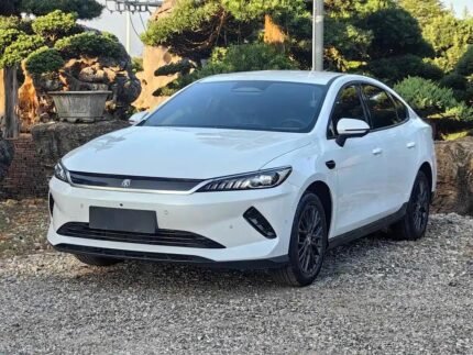 2025 BYD Qin Plus Quando Chega no Brasil Top Chinese EV Car Companies