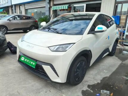 2025 BYD Seagull Battery Capacity - Top Chinese EV Firms