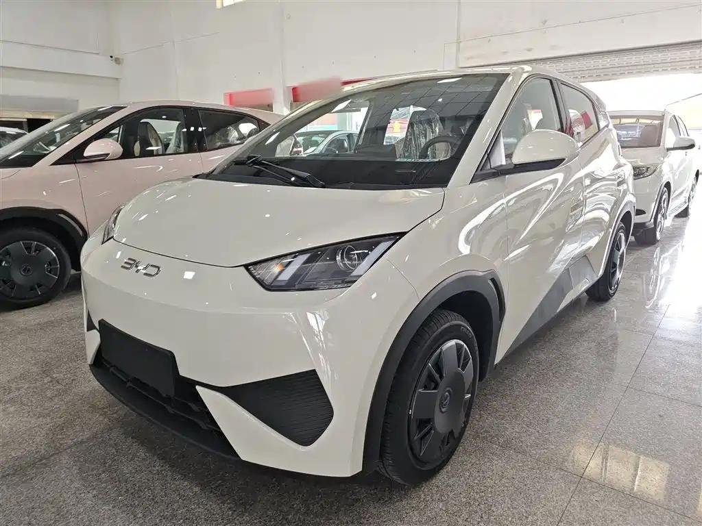2025 BYD Seagull Flying - Best Chinese EV Companies 2025 BYD Seagull Flying - Best Chinese EV Companies
