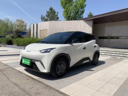 2025 BYD Seagull for sale 913245 | Eauto Export