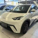 2025 BYD Seagull for sale 913246 | Eauto Export