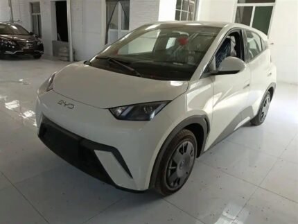 2025 BYD Seagull for sale 913259 | Eauto Export