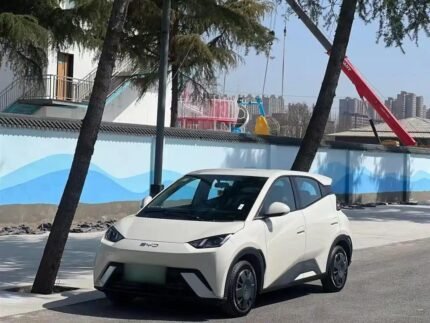 2025 BYD Seagull for sale 913260 | Eauto Export