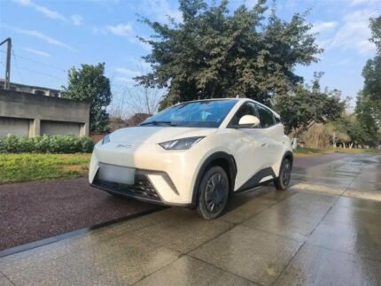 2025 BYD Seagull for sale 913265 | Eauto Export