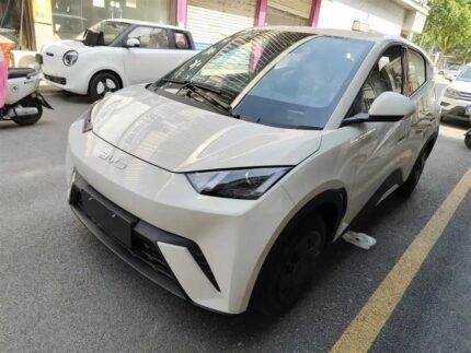 2025 BYD Seagull for sale 913273 | Eauto Export