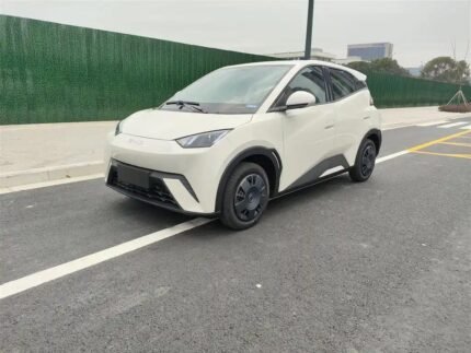 2025 BYD Seagull for sale 913275 | Eauto Export