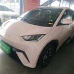 2025 BYD Seagull Kaufen - Biggest Chinese EV Companies