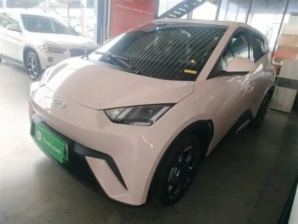 2025 BYD Seagull Kaufen - Biggest Chinese EV Companies