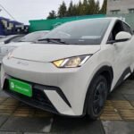 2025 BYD Seagull vs Dolphin - Exciting New Chinese EV