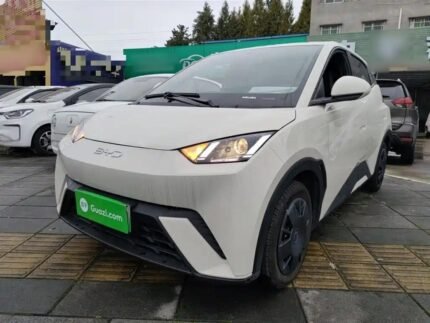 2025 BYD Seagull vs Dolphin - Exciting New Chinese EV