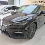 2025 BYD Song L EV - Top 3 Chinese EV Companies