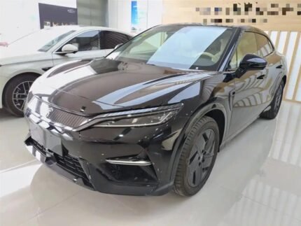 2025 BYD Song L EV - Top 3 Chinese EV Companies