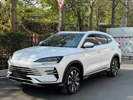 2025 BYD Song Plus EV Car - Popular Chinese EV Name
