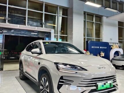 2025 BYD Song Plus EV Champion Flagship - Chinese EV List