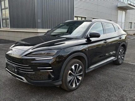 2025 BYD Song Plus EV Flagship 2025 What is the Best Electric Car in China