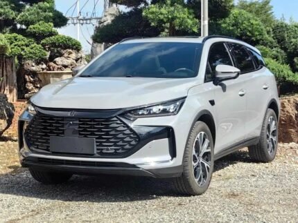 2025 BYD Tang L EV 600 - Chinese Electric Car Companies List