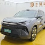 2025 BYD Tang L - Top 10 Chinese EV Companies Luxury
