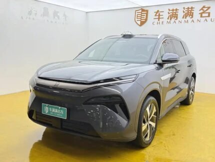 2025 BYD Tang L - Top 10 Chinese EV Companies Luxury