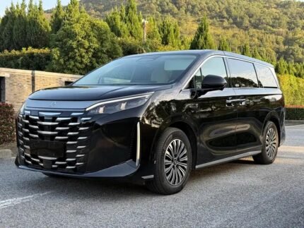 2025 BYD Xia Europe - Competitive Chinese EV Prices