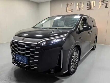 2025 BYD Xia Interior Top 10 Chinese Electric Cars - Comfort Used