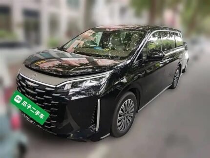 2025 BYD Xia M9 China Used Electric Car - Luxury Export