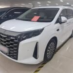 2025 BYD Xia Malaysia Used Electric Car for Sale in China - Deals