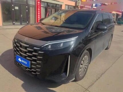 2025 BYD Xia MPV Interior - Chinese Electric Car Used