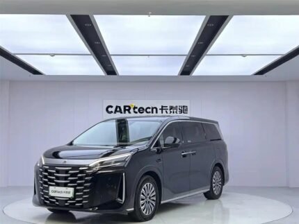 2025 BYD Xia MPV Second Hand Chinese Electric Cars - Family Used