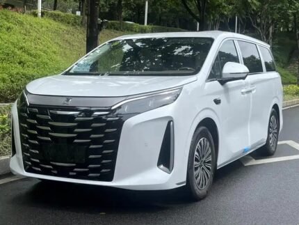 2025 BYD Xia New Chinese Electric Car Company - Modern Used