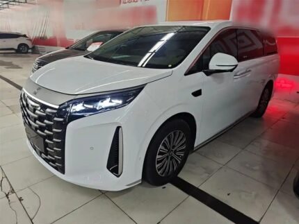 2025 BYD Xia Review Best Chinese Electric Car Company - Detailed Used