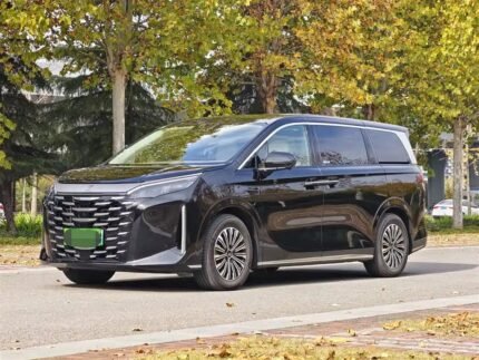 2025 BYD Xia Singapore - Chinese Electric Car Company
