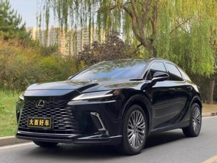 2025 Lexus RX for sale 925080 | Eauto Export