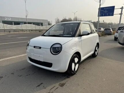 2025 Lumin Changan - Best Chinese EV Companies Mini