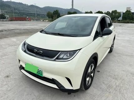 2025 Qual Autonomia BYD Dolphin Mini - Chinese Car EV