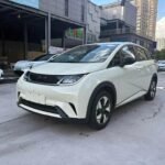 2025 Valor BYD Dolphin Plus - Exciting New Chinese EV