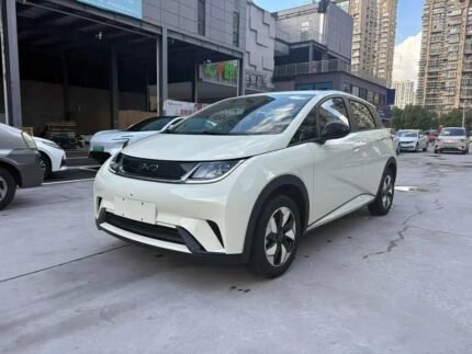 2025 Valor BYD Dolphin Plus - Exciting New Chinese EV