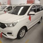 2025 Wuling Hongguang Mini EV Giá Bao Nhiều Chinese Used Cars for Sale in China